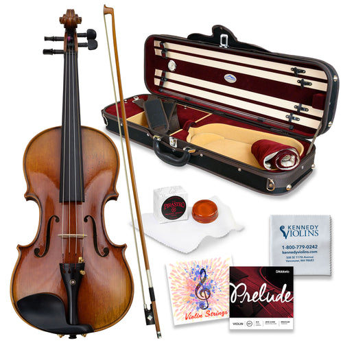 CLEARANCE Vitacek Master Series Violin Outfit