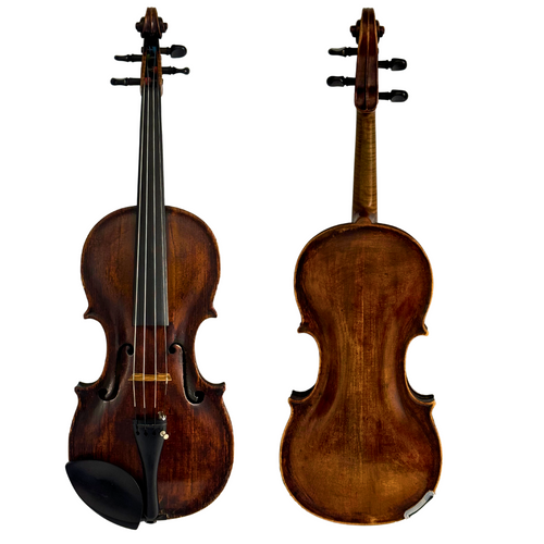 Violin Labelled Angelus Toppani