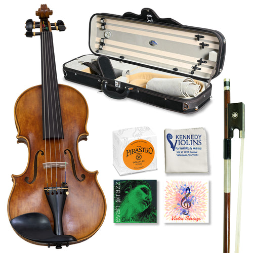 CLEARANCE David Yale 5-String Violin Outfit