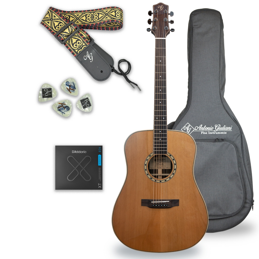 CLEARANCE Antonio Giuliani DN-6 Dreadnaught Rosewood Acoustic