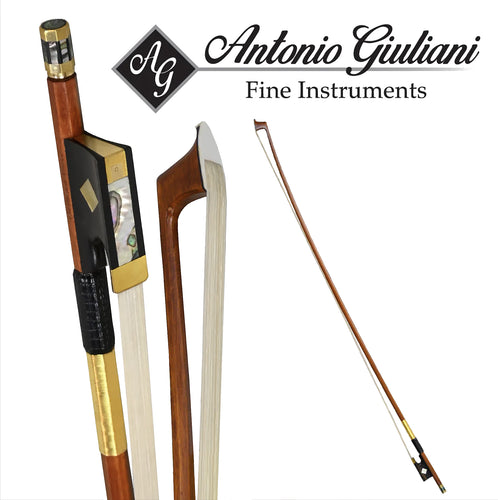 Giuliani Pro Violin Bow