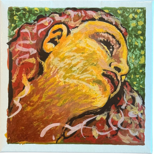 Evah Pirazzi Neo Violin String Set