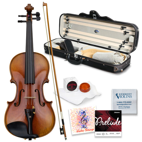 Vitacek Master Series Violin Outfit
